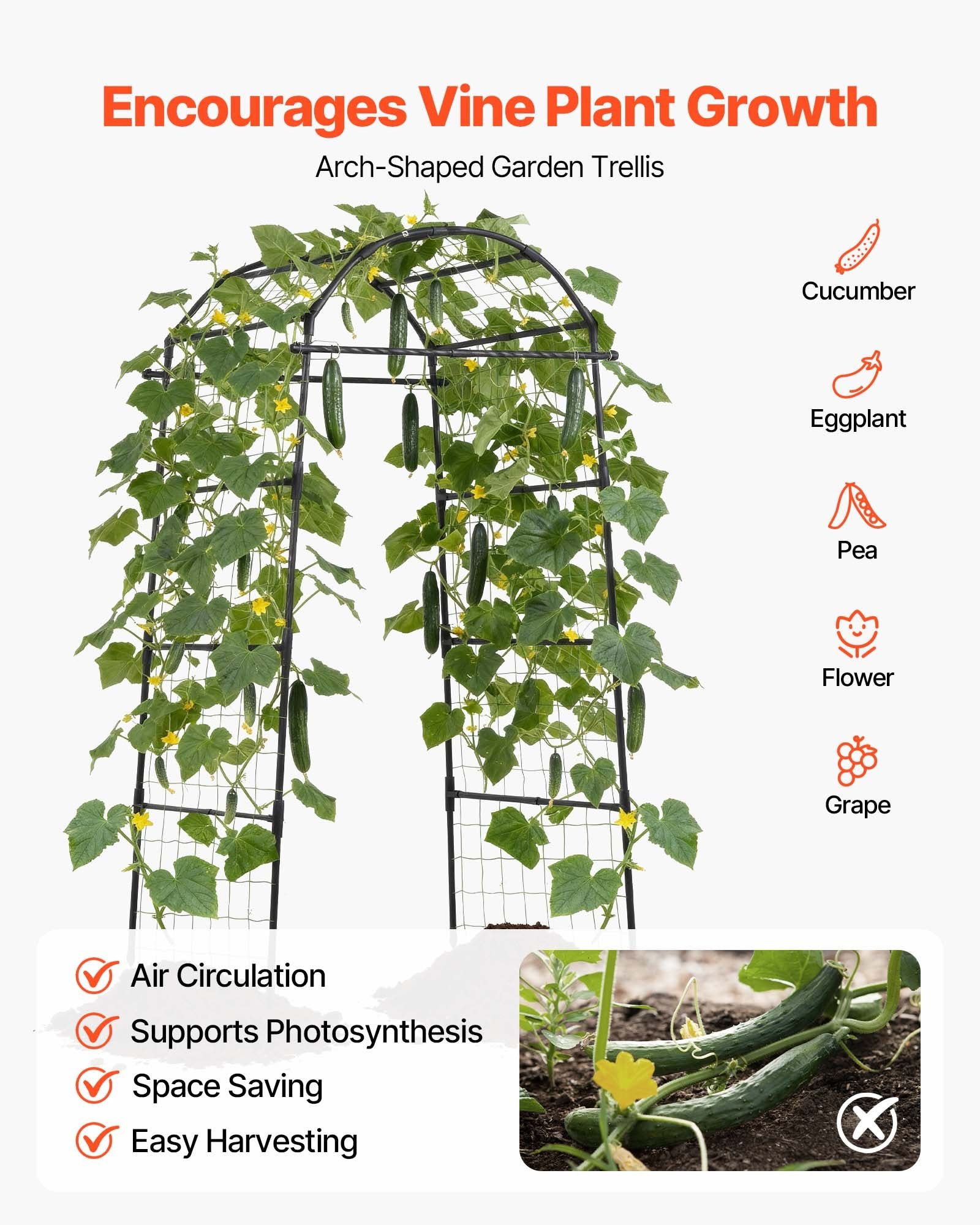 Robust U-Shape Metal Garden Trellis for Raised Beds - Perfect Arch Plant Support for Vines, Peas, Beans, Zucchini, and More!