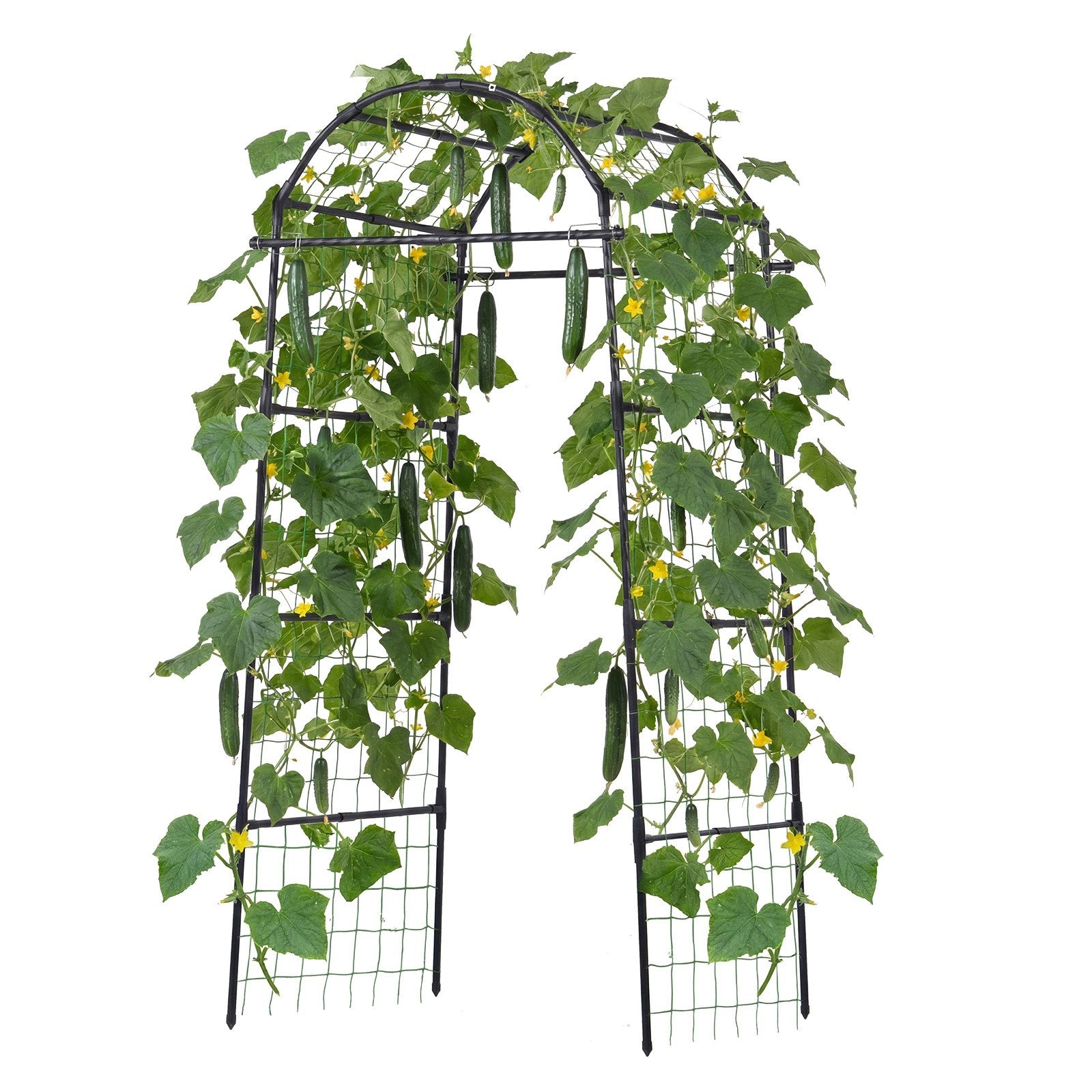 Robust U-Shape Metal Garden Trellis for Raised Beds - Perfect Arch Plant Support for Vines, Peas, Beans, Zucchini, and More!