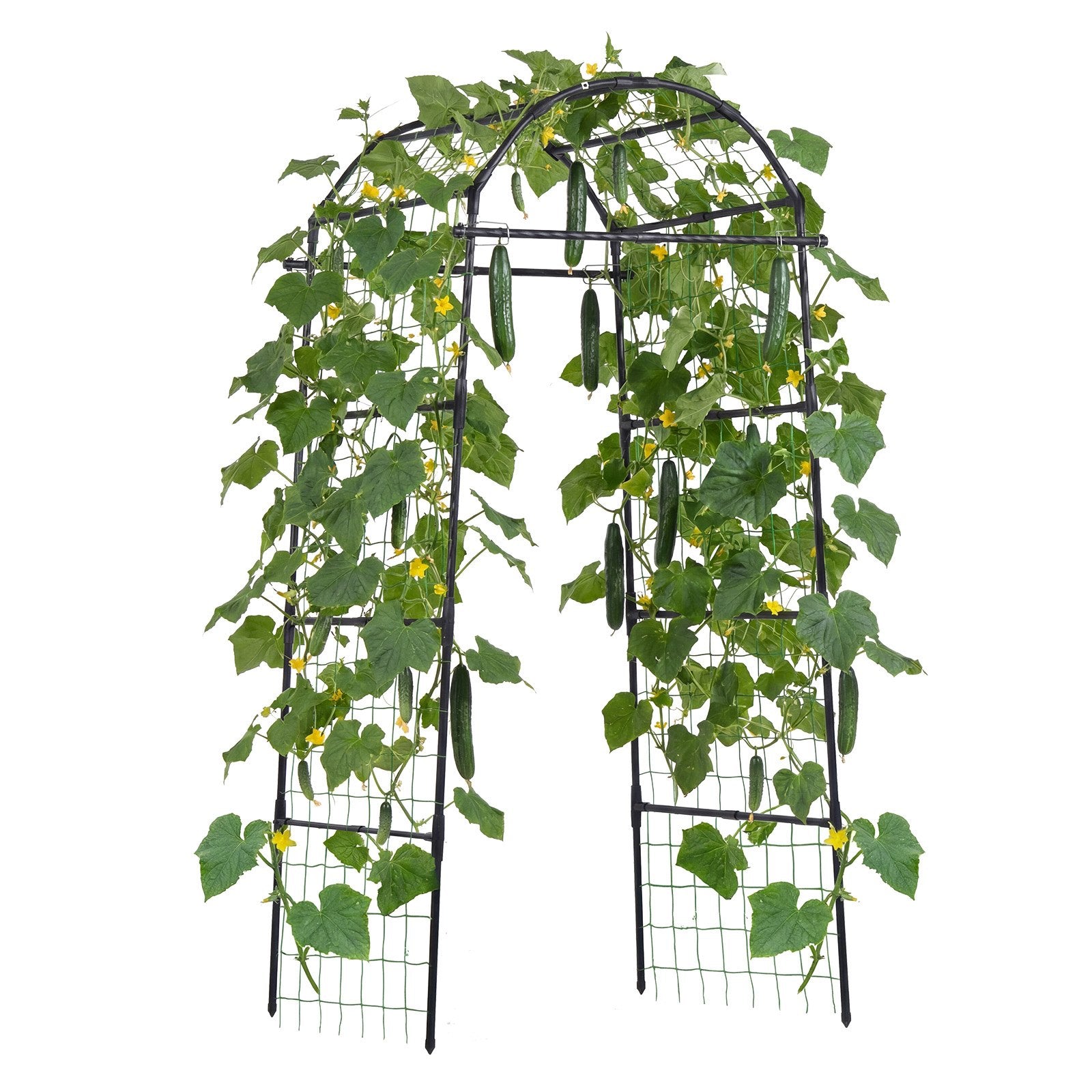 Robust U-Shape Metal Garden Trellis for Raised Beds - Perfect Arch Plant Support for Vines, Peas, Beans, Zucchini, and More!