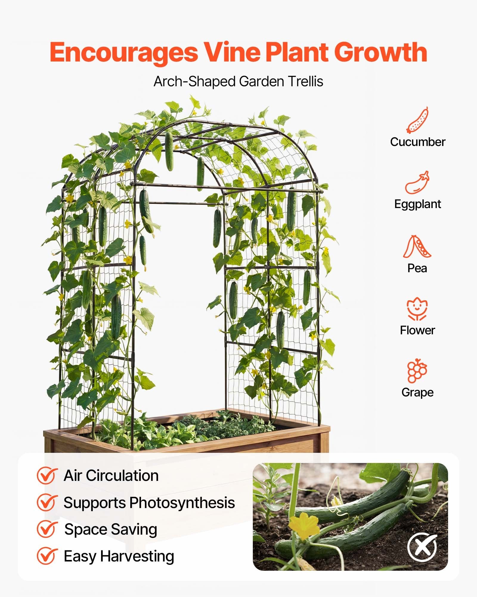 Sturdy U-Shape Garden Trellis for Raised Beds - Metal Arch Plant Support for Climbing Vines, Peas, Beans, Zucchini, Tomato, Squash, & Flowers