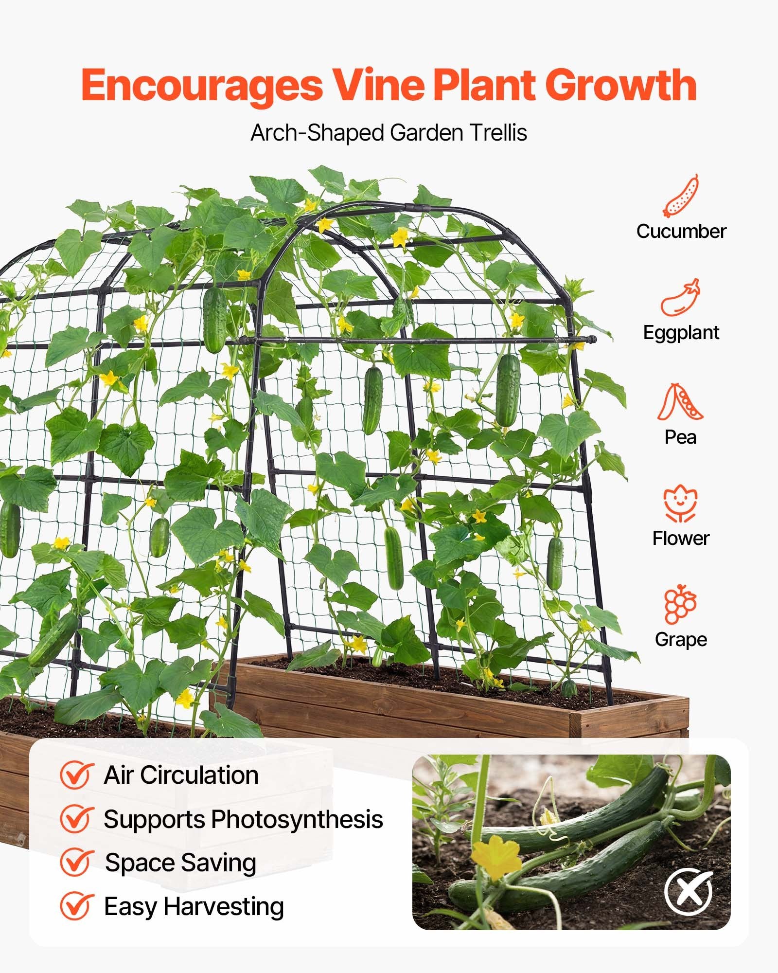 U-Shape Metal Garden Trellis for Raised Beds - Arch Plant Support for Cucumbers, Climbing Vines, Peas, Beans, Zucchini, Tomatoes, and More