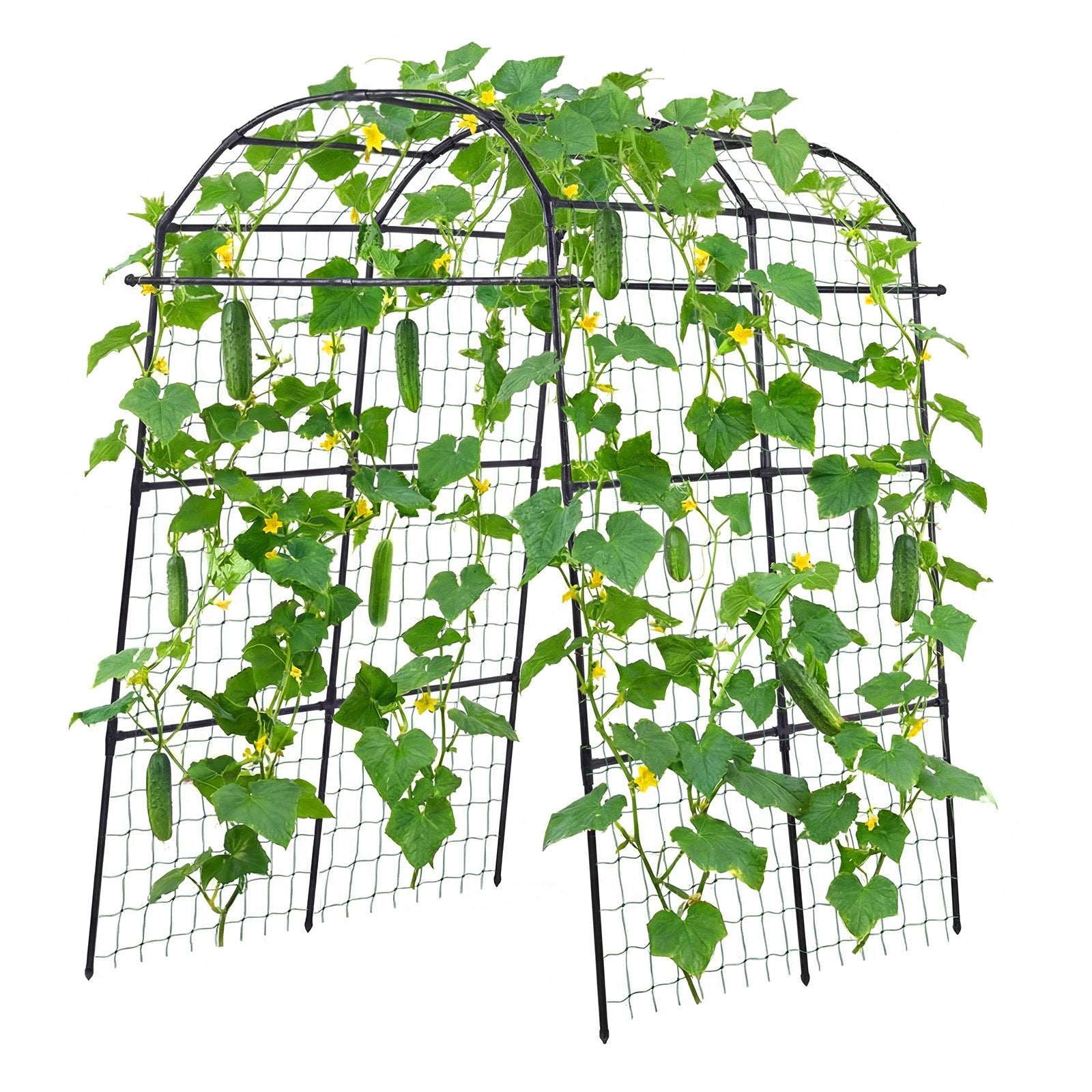 U-Shape Metal Garden Trellis for Raised Beds - Arch Plant Support for Cucumbers, Climbing Vines, Peas, Beans, Zucchini, Tomatoes, and More