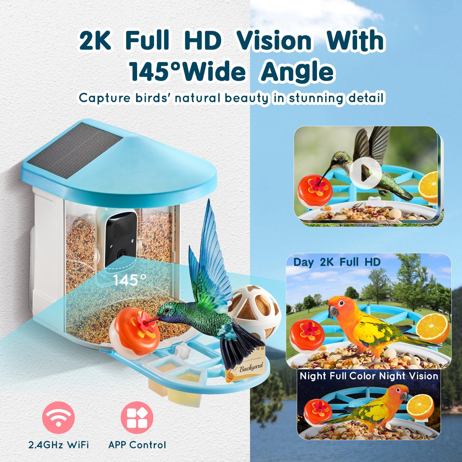 Solar-Powered Smart Bird Feeder with 2K HD Camera, AI Identifies 10,000+ Birds, Wireless, Auto Capture, Instant Alerts, Perfect for Bird Lovers