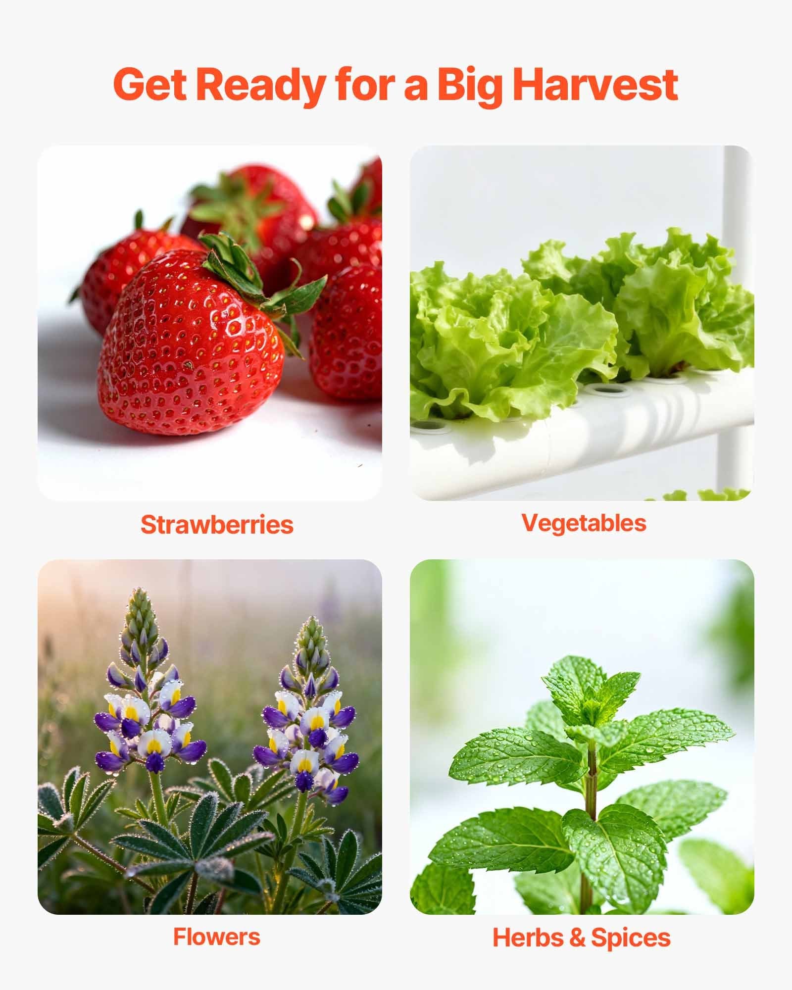 3-Tier Hydroponic Growing System Kit with 108 Sites, Timed Irrigation, Thickened UPVC Pipes for Indoor Home Garden Vegetables and Herbs