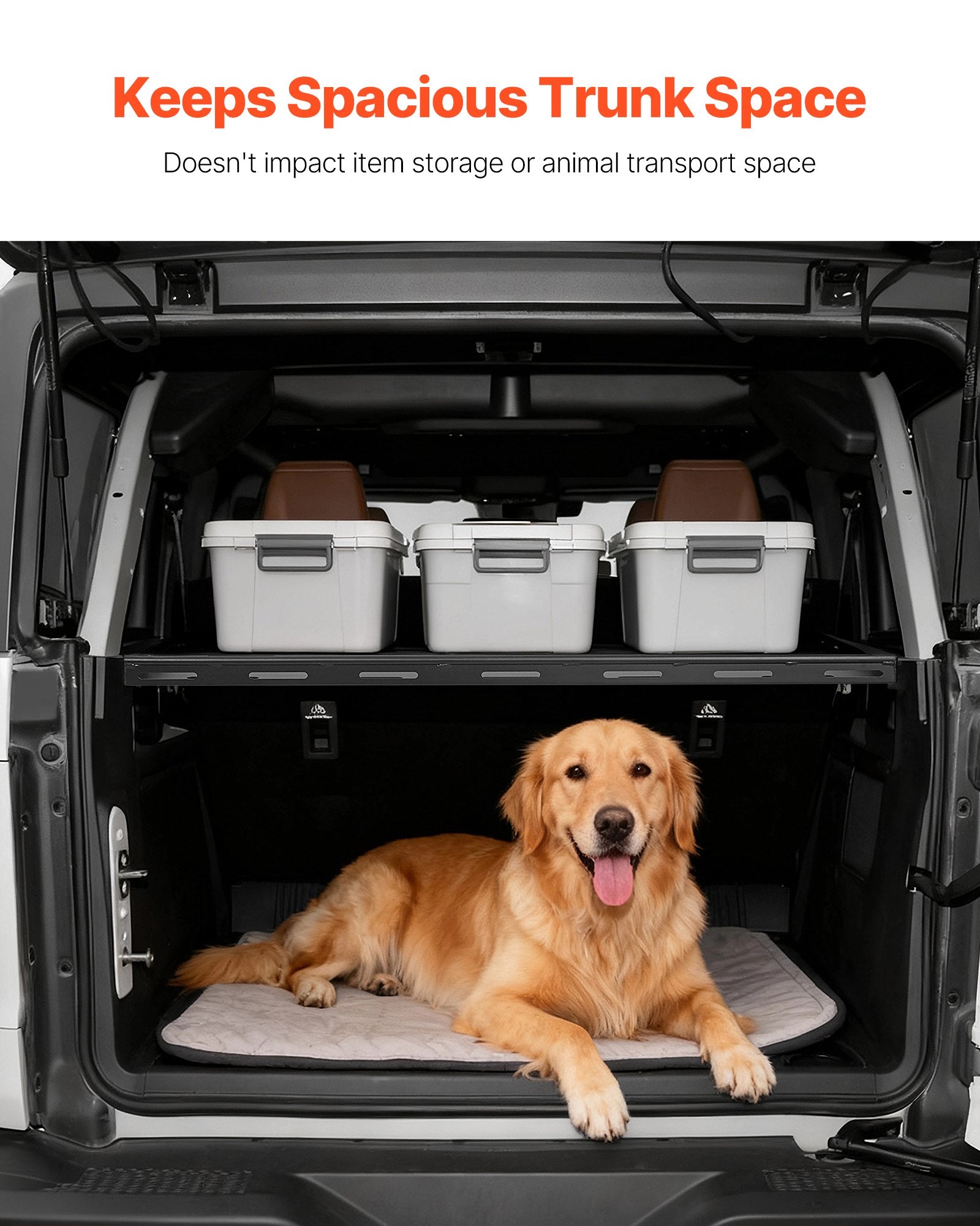 Heavy-Duty Rear Trunk Cargo Rack for 2021-2024 Ford Bronco - 300 lbs Capacity, Carbon Steel, Interior Luggage Carrier with Net, Camping Gear Organizer