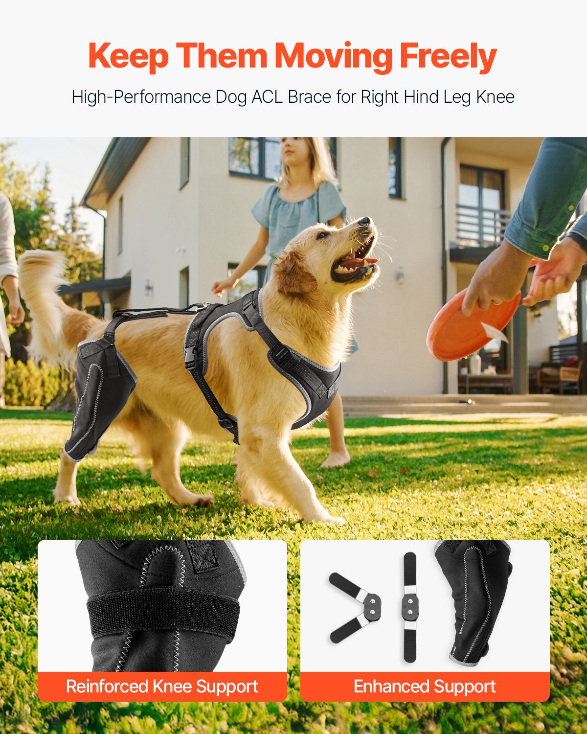 Adjustable Dog Knee Brace for ACL Tear with Hinge Stabilizer, Reflective Joint Support for Arthritis and Pain Relief, Right Hind Leg Harness