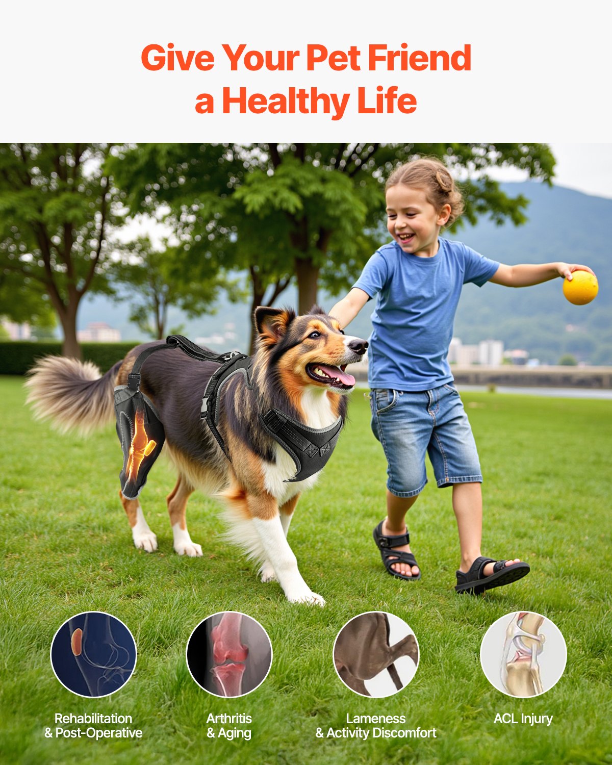 Adjustable Dog Knee Brace for ACL Tear with Hinge Stabilizer, Reflective Joint Support for Arthritis and Pain Relief, Right Hind Leg Harness