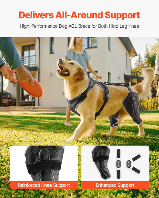 XL Dog Knee Brace with Adjustable Hinge for Torn ACL, Arthritis Pain Relief, Reflective Support for Hind Legs, Breathable Mesh Harness