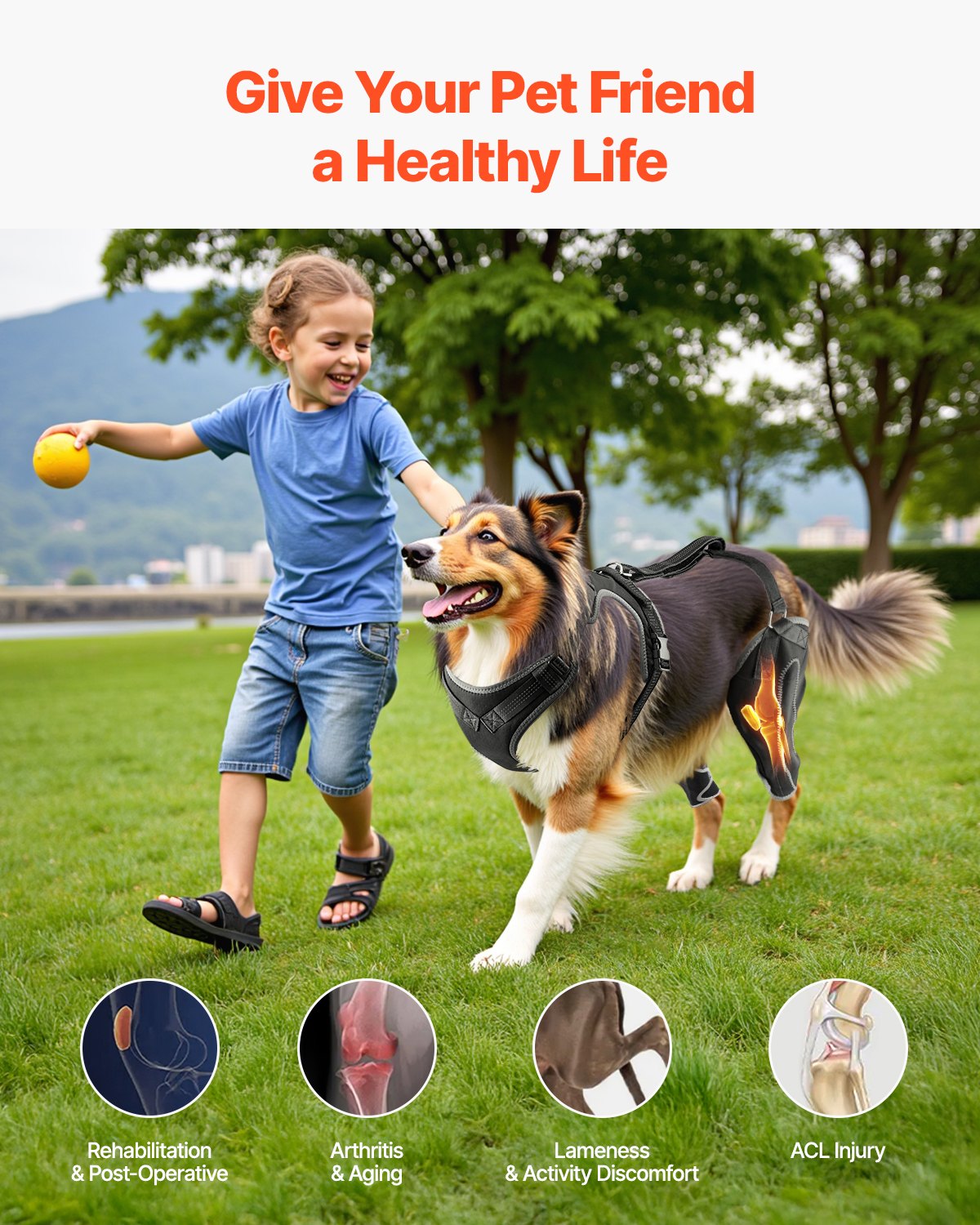 XL Dog Knee Brace with Adjustable Hinge for Torn ACL, Arthritis Pain Relief, Reflective Support for Hind Legs, Breathable Mesh Harness