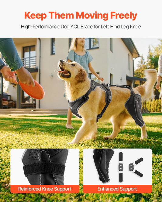 XL Dog Knee Brace with Adjustable Hinge for Torn ACL, Pain Relief, Arthritis Support, Reflective, Breathable, 4-Way Stretch, Black
