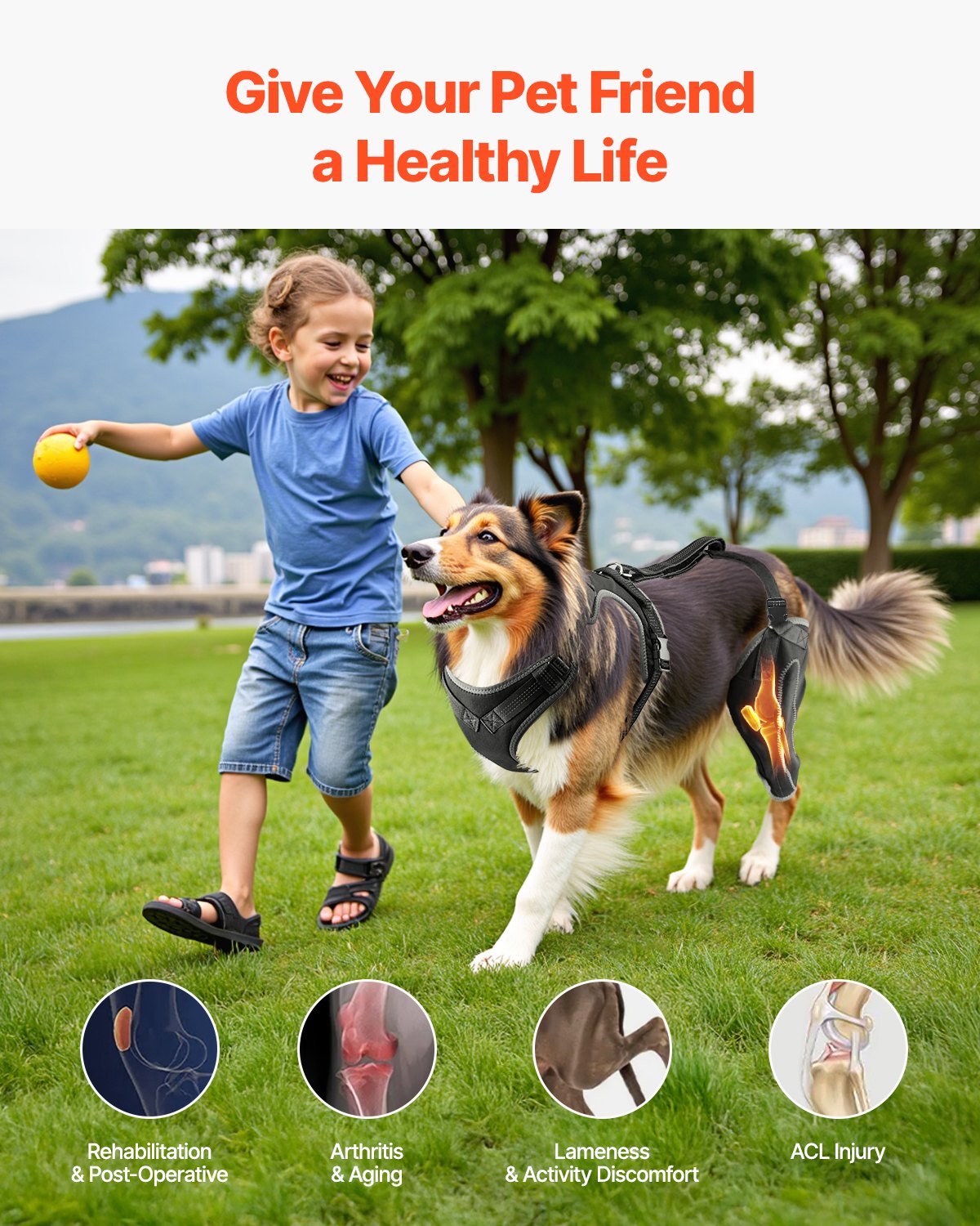 XL Dog Knee Brace with Adjustable Hinge for Torn ACL, Pain Relief, Arthritis Support, Reflective, Breathable, 4-Way Stretch, Black