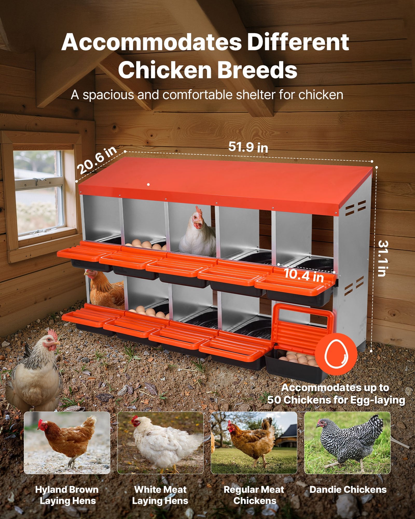 10-Compartment Chicken Nest Box, Corrosion-Resistant Metal, Easy-Clean Design with Inclined Boxes, Bottom Holes & Resting Platform for Various Breeds