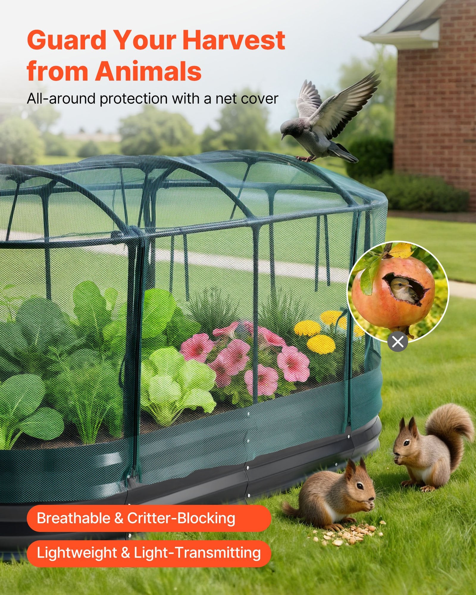 Oval Galvanized Raised Garden Bed with Self-Watering System & Mesh Cover, Rustproof Alu-Zinc Planter for Vegetables & Flowers, Large Capacity 6x3x1 ft, Dark Gray