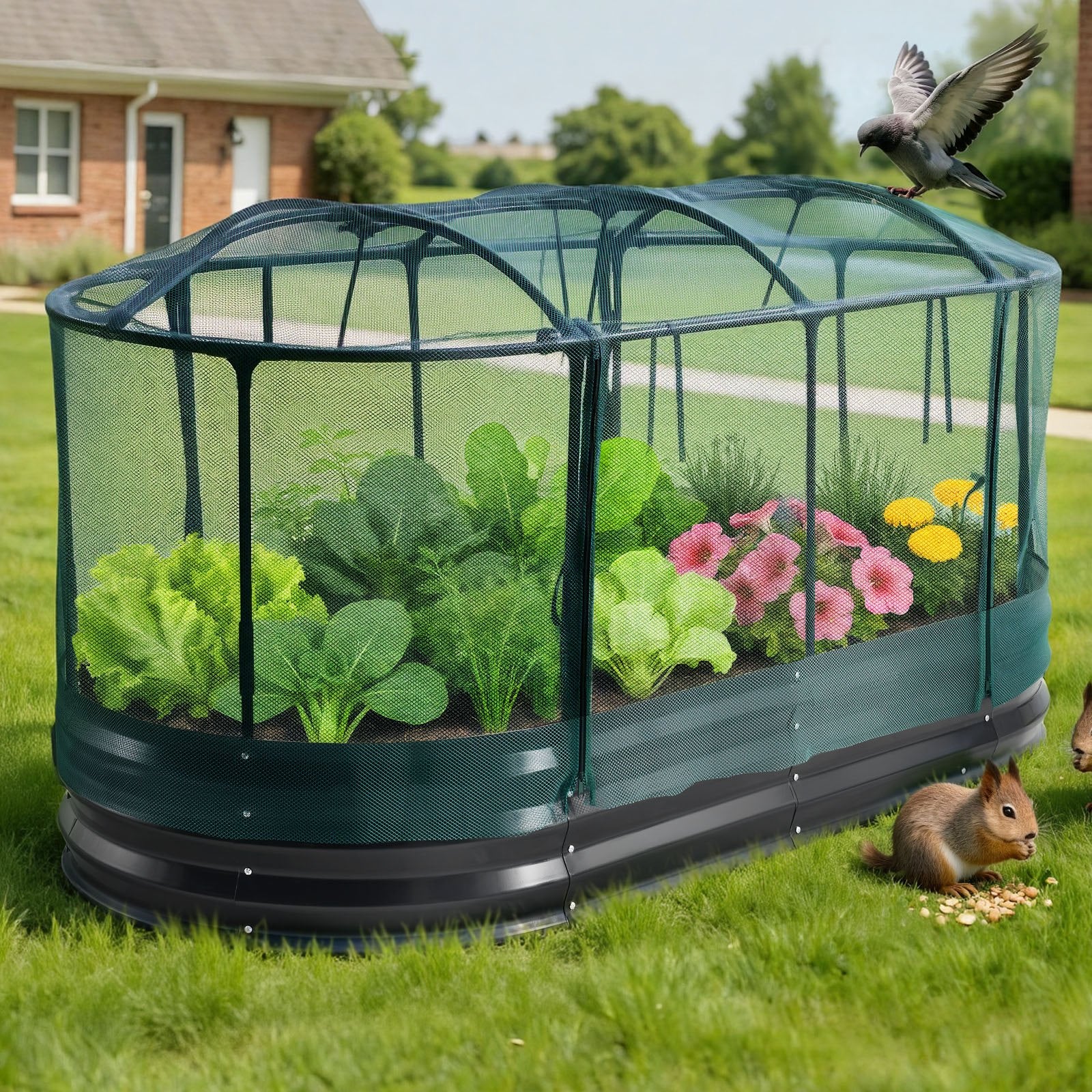 Oval Galvanized Raised Garden Bed with Self-Watering System & Mesh Cover, Rustproof Alu-Zinc Planter for Vegetables & Flowers, Large Capacity 6x3x1 ft, Dark Gray