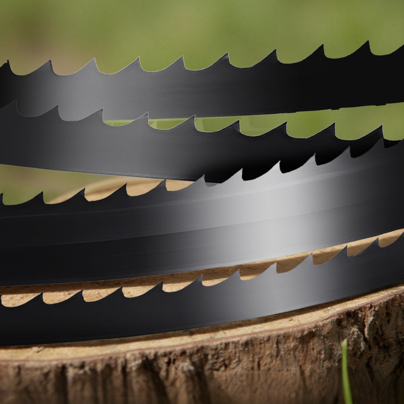 60-Inch Bandsaw Blade, 6 TPI, SK5 Carbon Steel, 15 HRC Hard Teeth, Fits Major Woodworking Bandsaws, 0.25-Inch Width, 1 Pack, High-Performance Cutting Tool