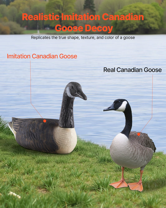 Ultra Realistic Canada Goose Decoys for Waterfowl Hunting – Durable Floating Plastic for Pool, Pond, Lake, and Garden Decor, Easy to Carry, 6-Pack