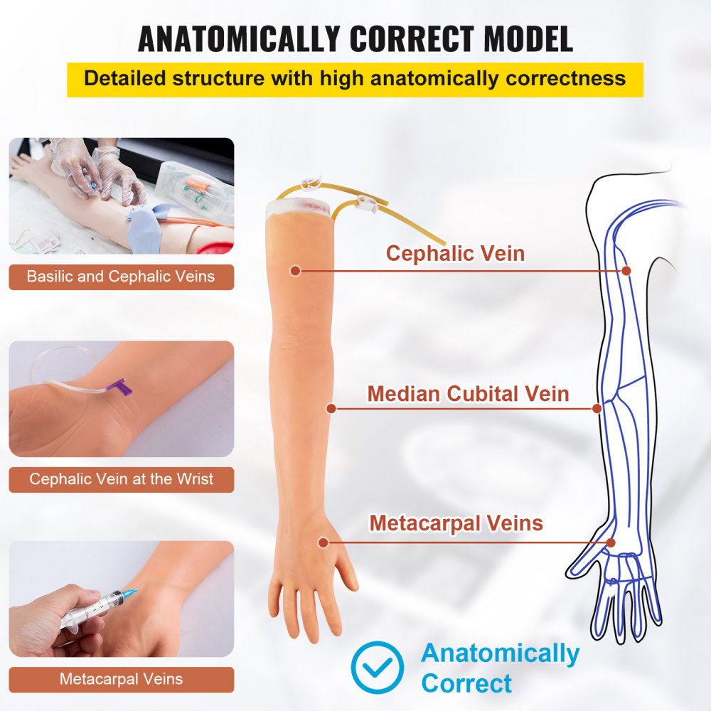 Comprehensive Phlebotomy and IV Venipuncture Training Arm Kit for Student and Professional Skill Enhancement with Convenient Carrying Bag