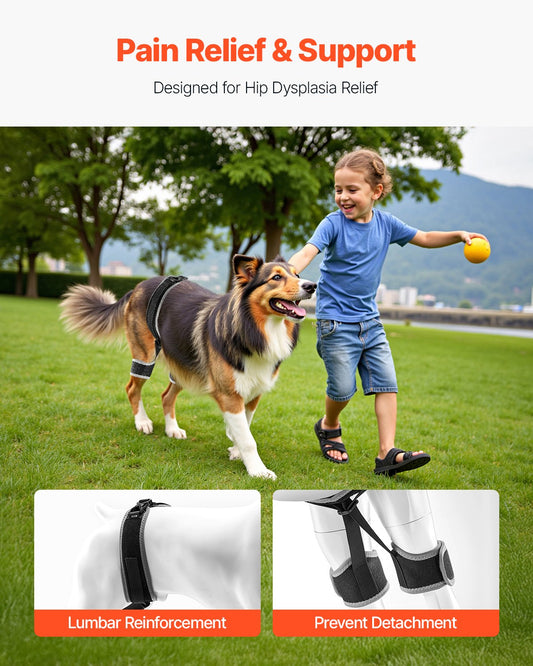 XL Dog Hip Support Brace with Reflective Trim, Breathable Neoprene Hind Leg Braces for Pain Relief & Recovery, Adjustable Harness for Hip & Pelvic Support