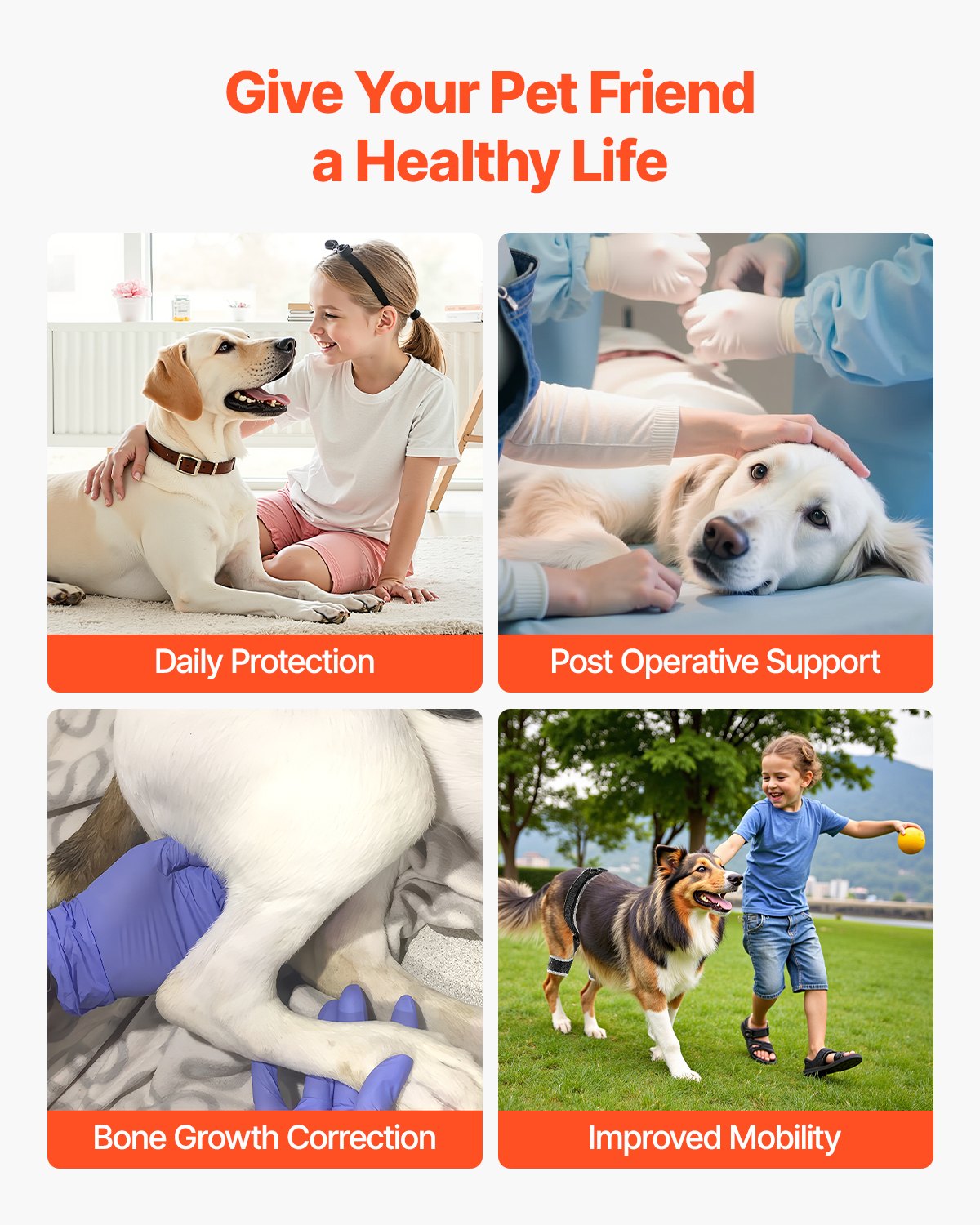 XL Dog Hip Support Brace with Reflective Trim, Breathable Neoprene Hind Leg Braces for Pain Relief & Recovery, Adjustable Harness for Hip & Pelvic Support