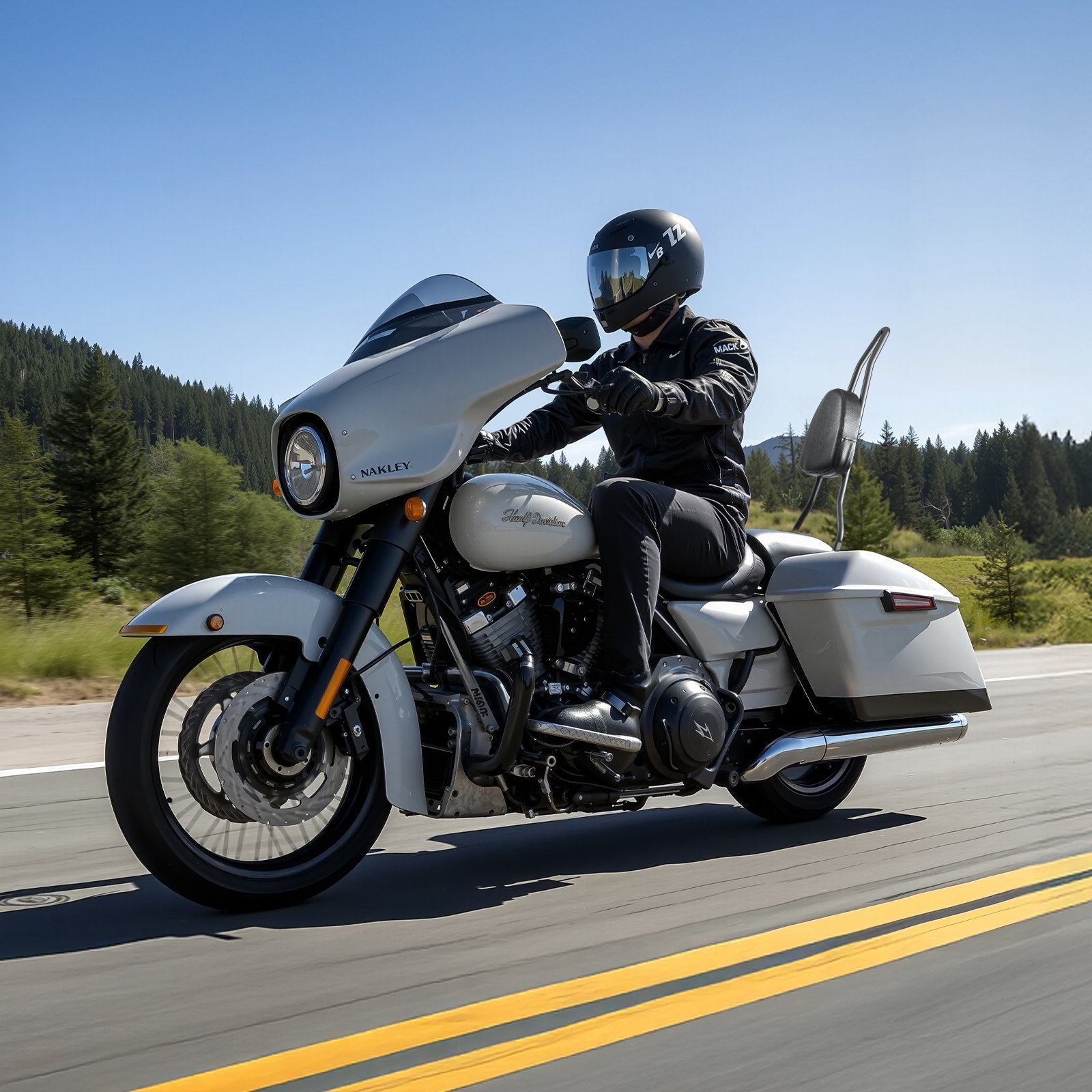 Detachable 29" Black Motorcycle Sissy Bar Backrest for Harley-Davidson Dyna, Street Glide, Road King - Comfort & Style for Long Rides