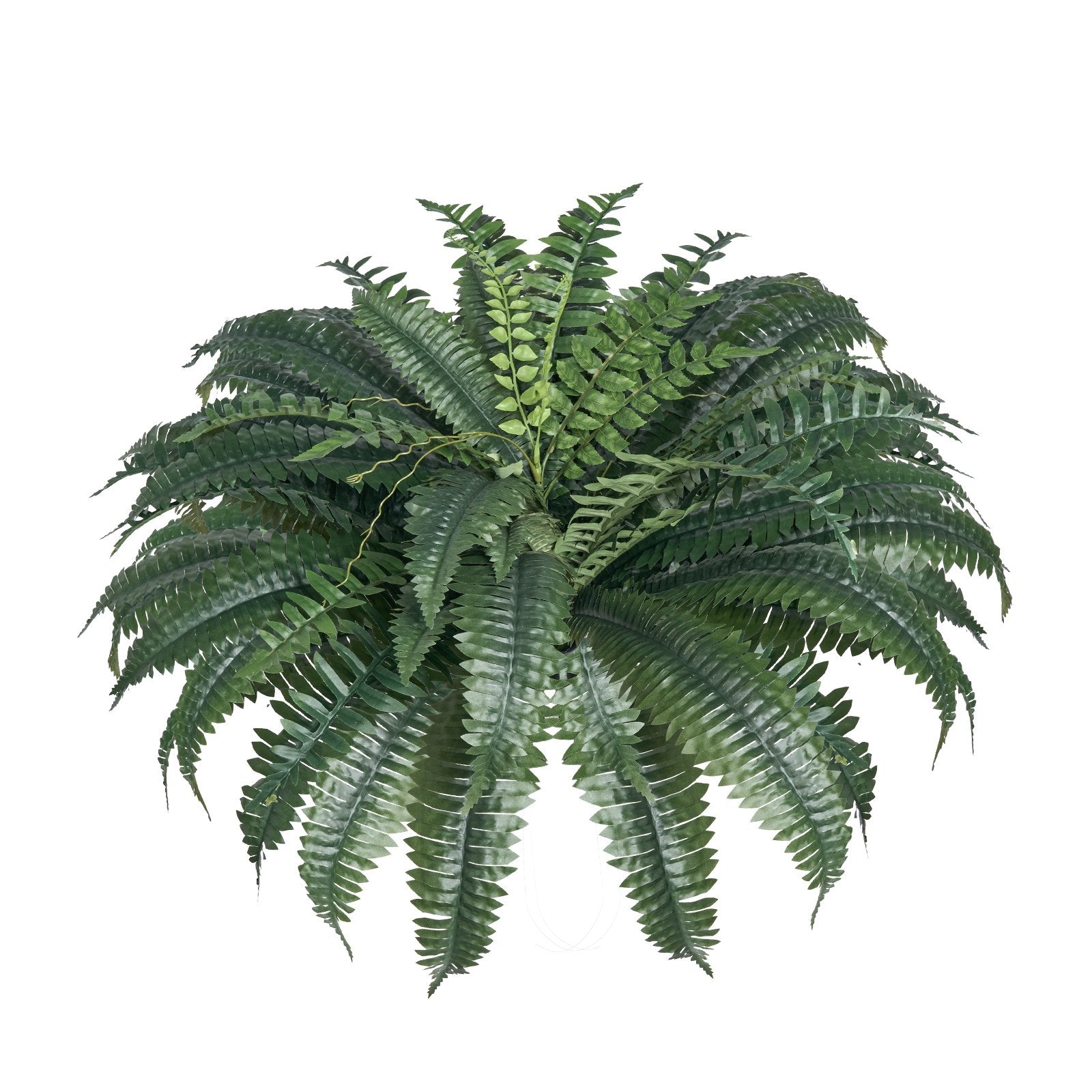 Large Artificial Boston Ferns - 2 Pack, 43-47 Inch Spread, 50 Branches, Lifelike Hanging Decor for Home & Office, No Pot Included