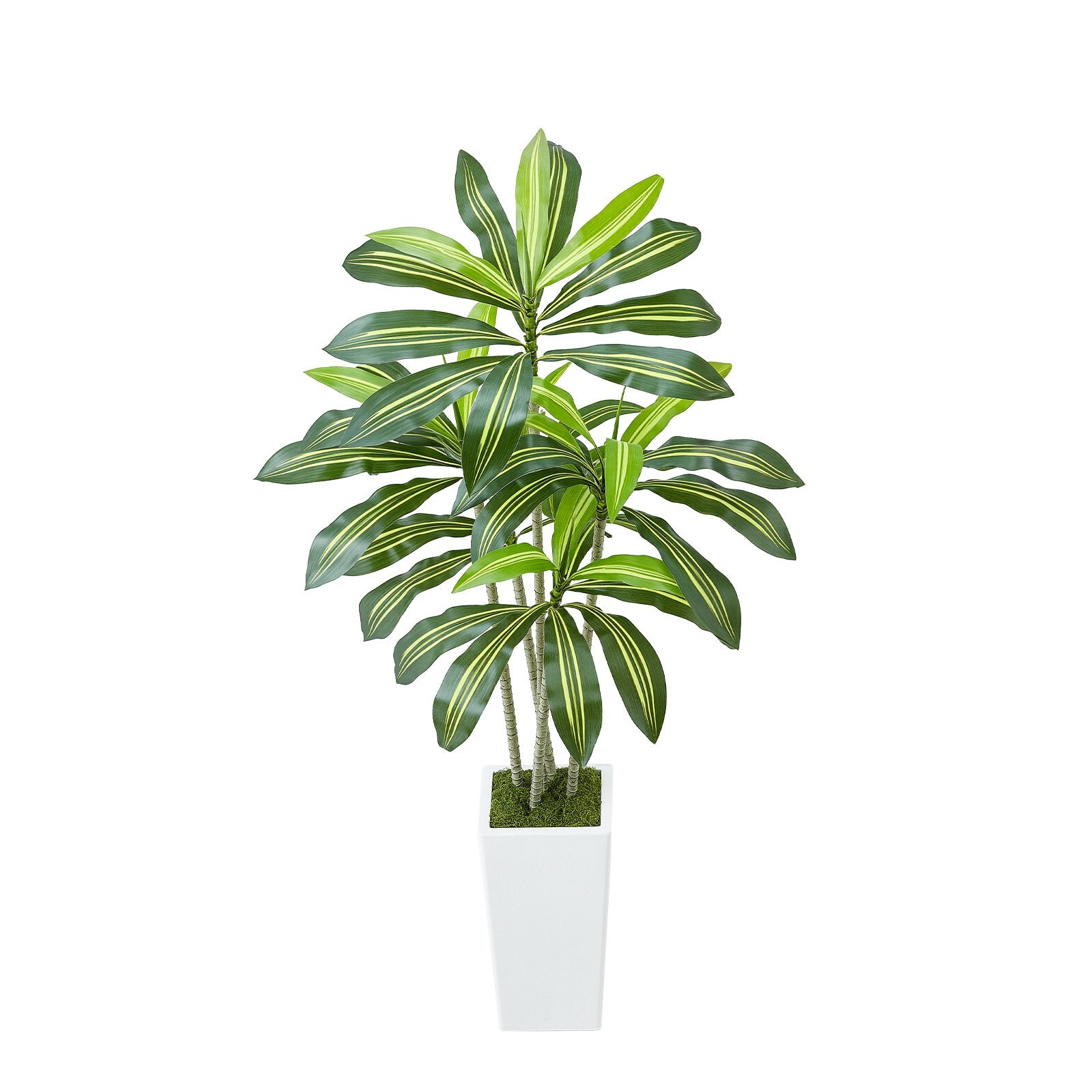 5 ft Artificial Dracaena Tree with Elegant White Planter - Perfect Faux Palm for Home, Office, Indoor & Outdoor Decor, Easy Setup