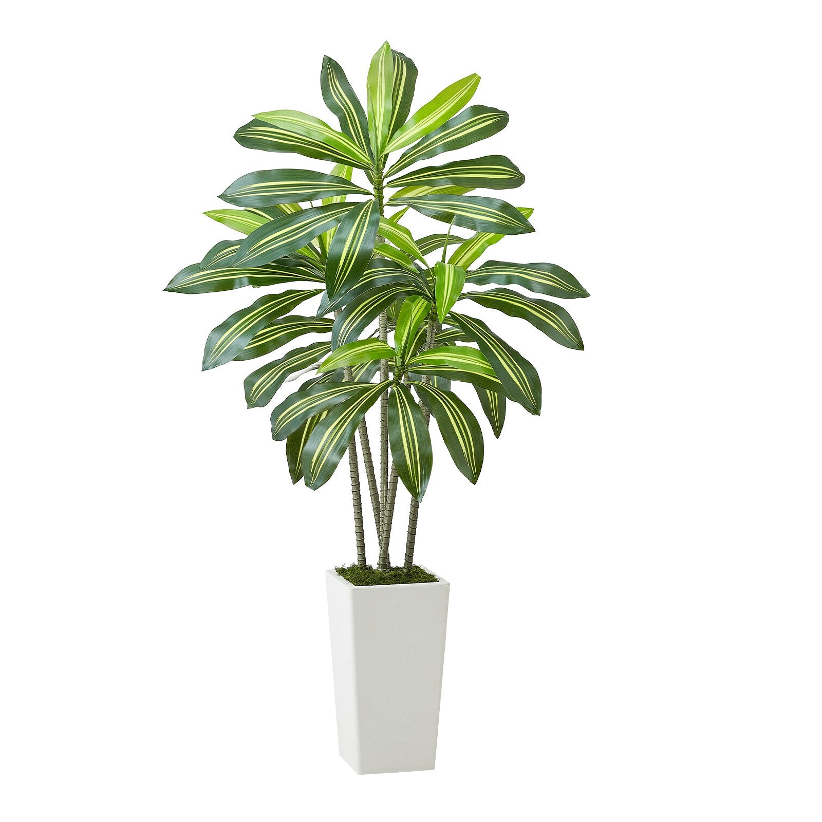 5 ft Artificial Dracaena Tree with Elegant White Planter - Perfect Faux Palm for Home, Office, Indoor & Outdoor Decor, Easy Setup