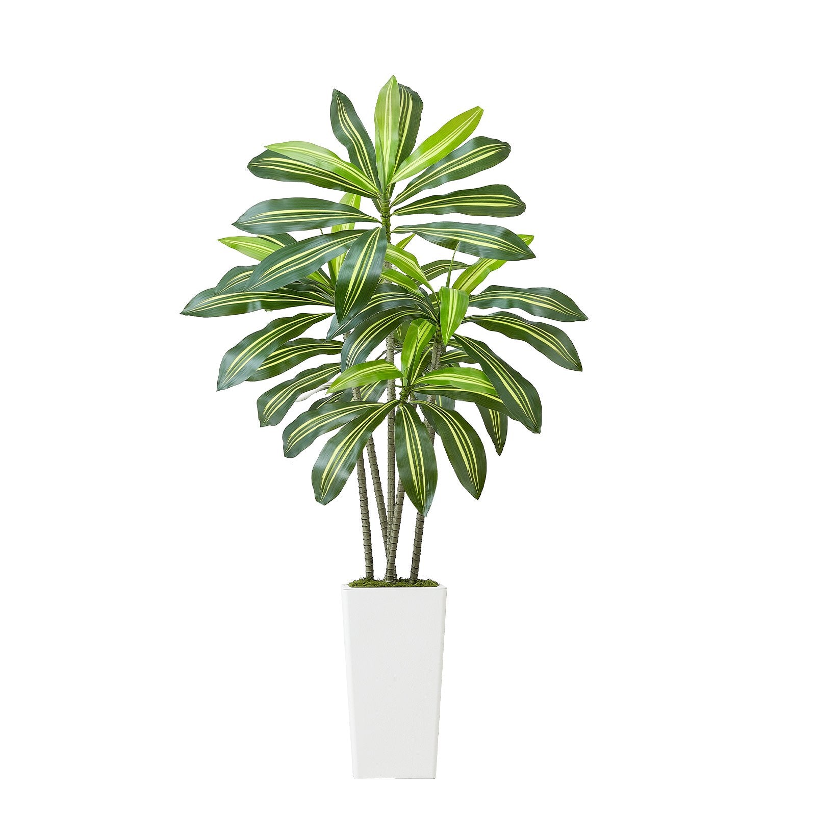 5 ft Artificial Dracaena Tree with Elegant White Planter - Perfect Faux Palm for Home, Office, Indoor & Outdoor Decor, Easy Setup