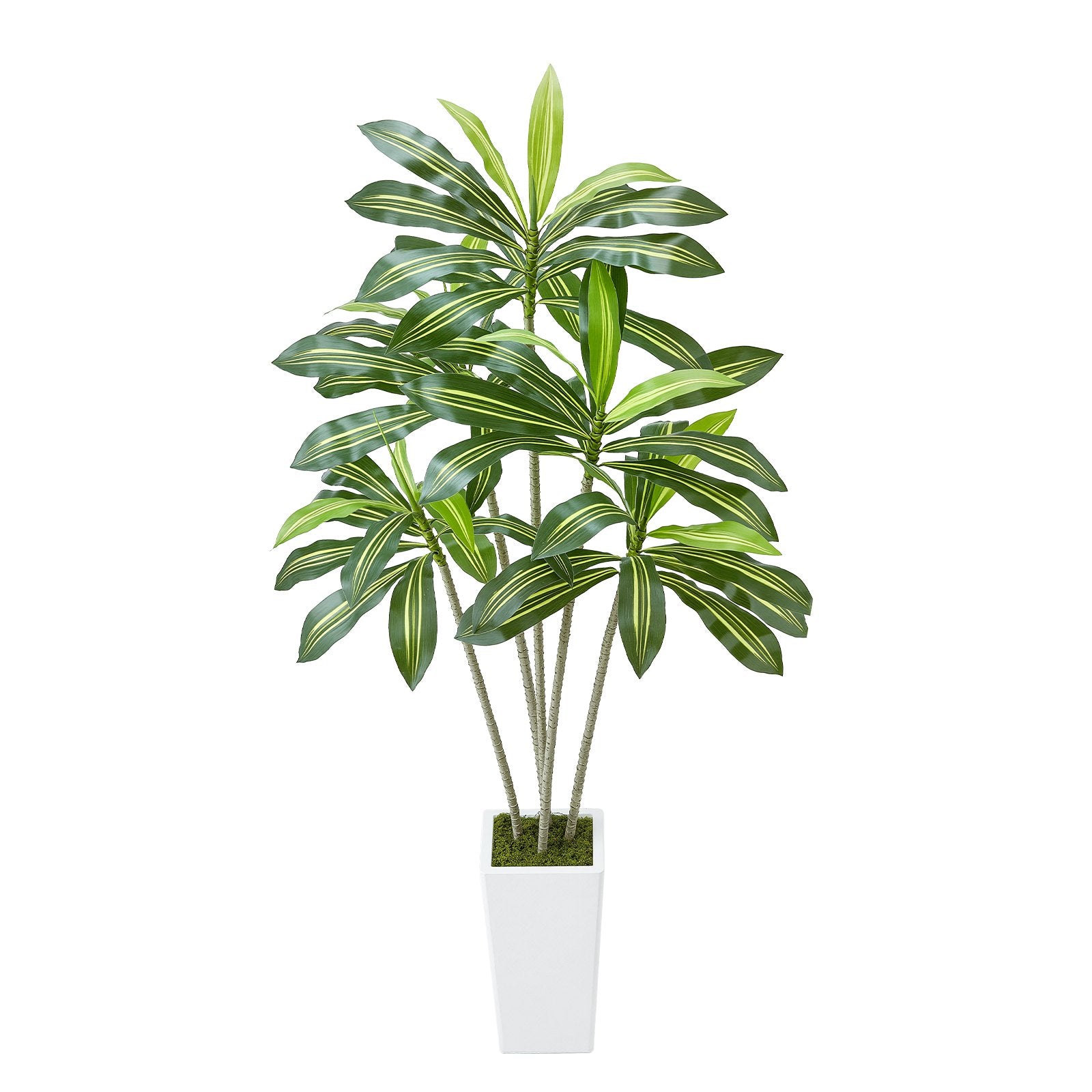 6ft Artificial Dracaena Tree with White Planter - Realistic Faux Palm for Indoor Outdoor Decor, Home Office, Housewarming Gift