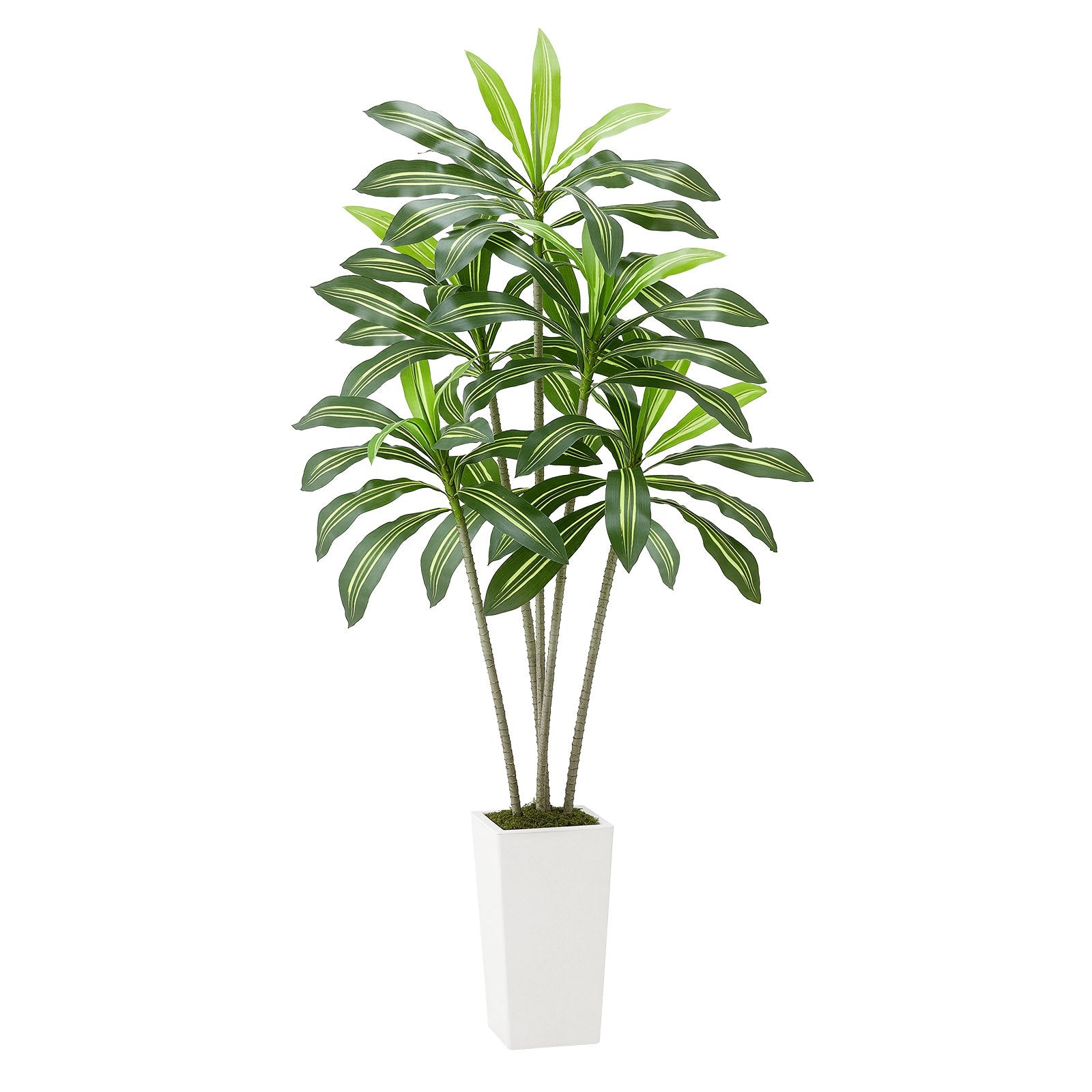 6ft Artificial Dracaena Tree with White Planter - Realistic Faux Palm for Indoor Outdoor Decor, Home Office, Housewarming Gift