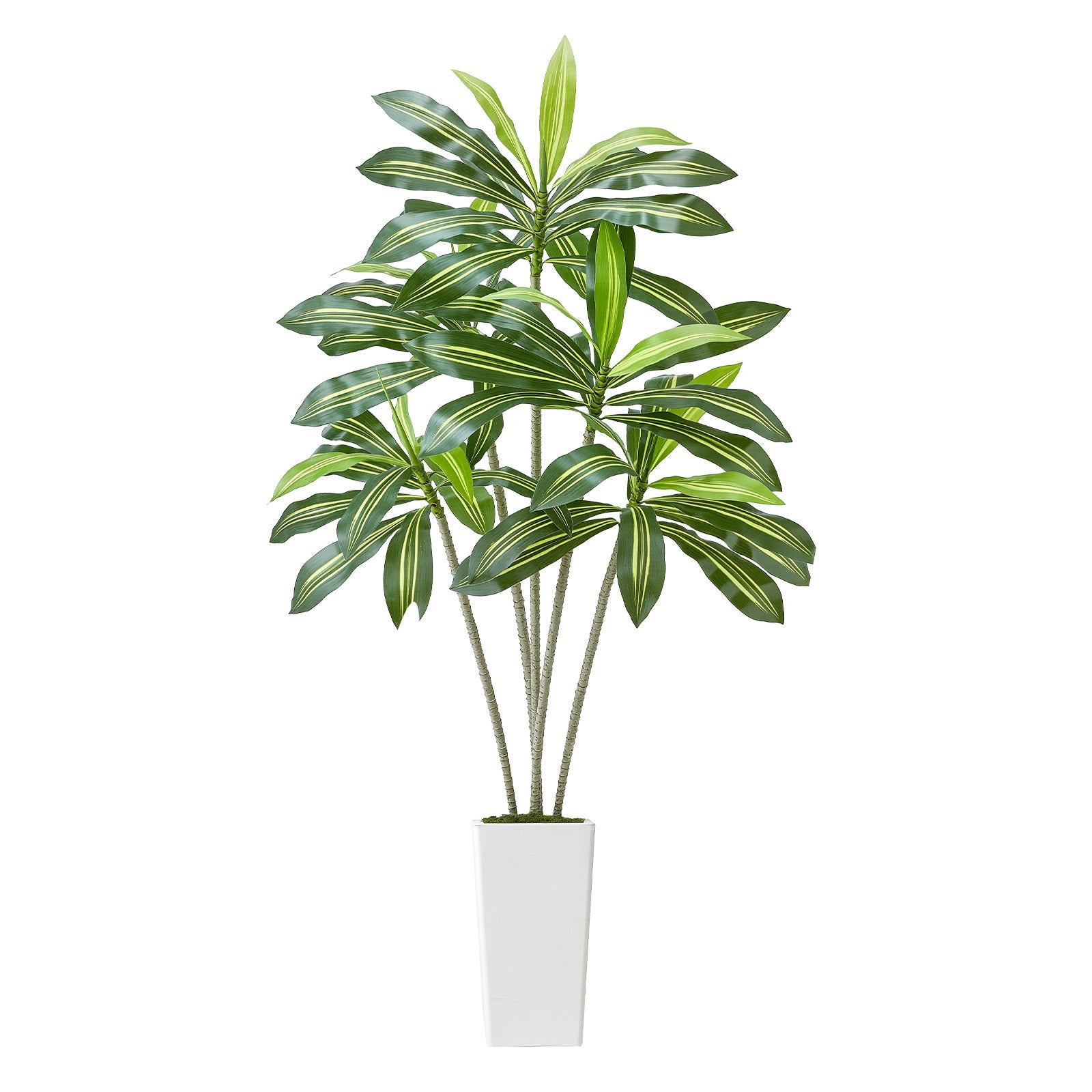 6ft Artificial Dracaena Tree with White Planter - Realistic Faux Palm for Indoor Outdoor Decor, Home Office, Housewarming Gift