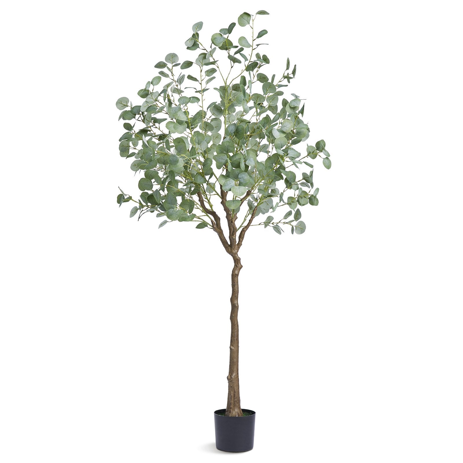 6 FT Tall Artificial Eucalyptus Tree for Home & Office Decor, Lifelike Faux Plant with Secure PE Material, Easy Assembly & Maintenance, Indoor Outdoor Use, Anti-Tip Protection
