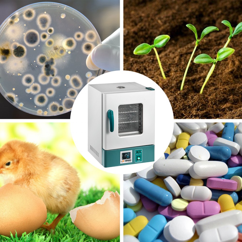 20L Scientific Digital Incubator for Microbiology and Seed Germination with PID Temperature Control, Ranging from Room Temperature to 65℃