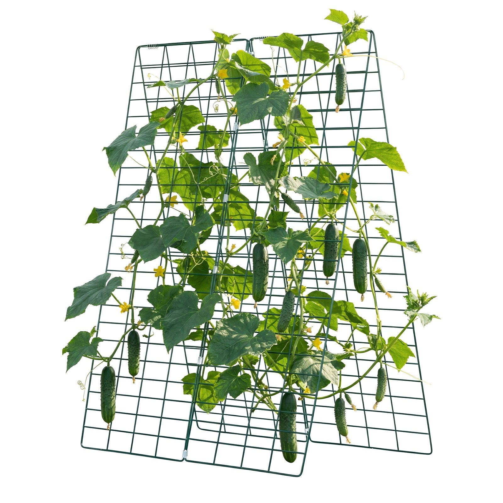 4-Pack A-Frame Garden Trellises for Raised Beds, Rustproof Metal Plant Support for Vines, Peas, Beans, Zucchini, Tomatoes, Flowers