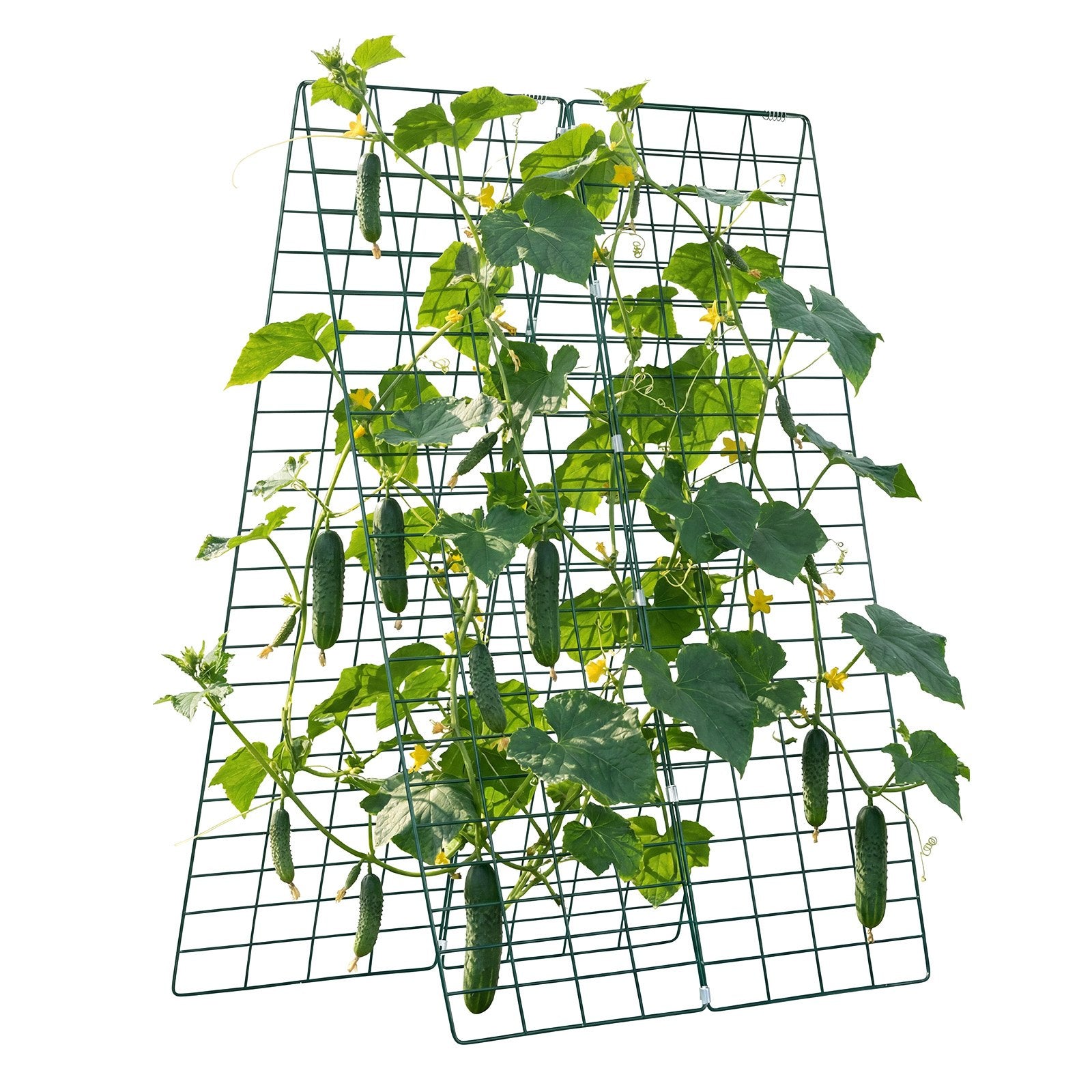 4-Pack A-Frame Garden Trellises for Raised Beds, Rustproof Metal Plant Support for Vines, Peas, Beans, Zucchini, Tomatoes, Flowers