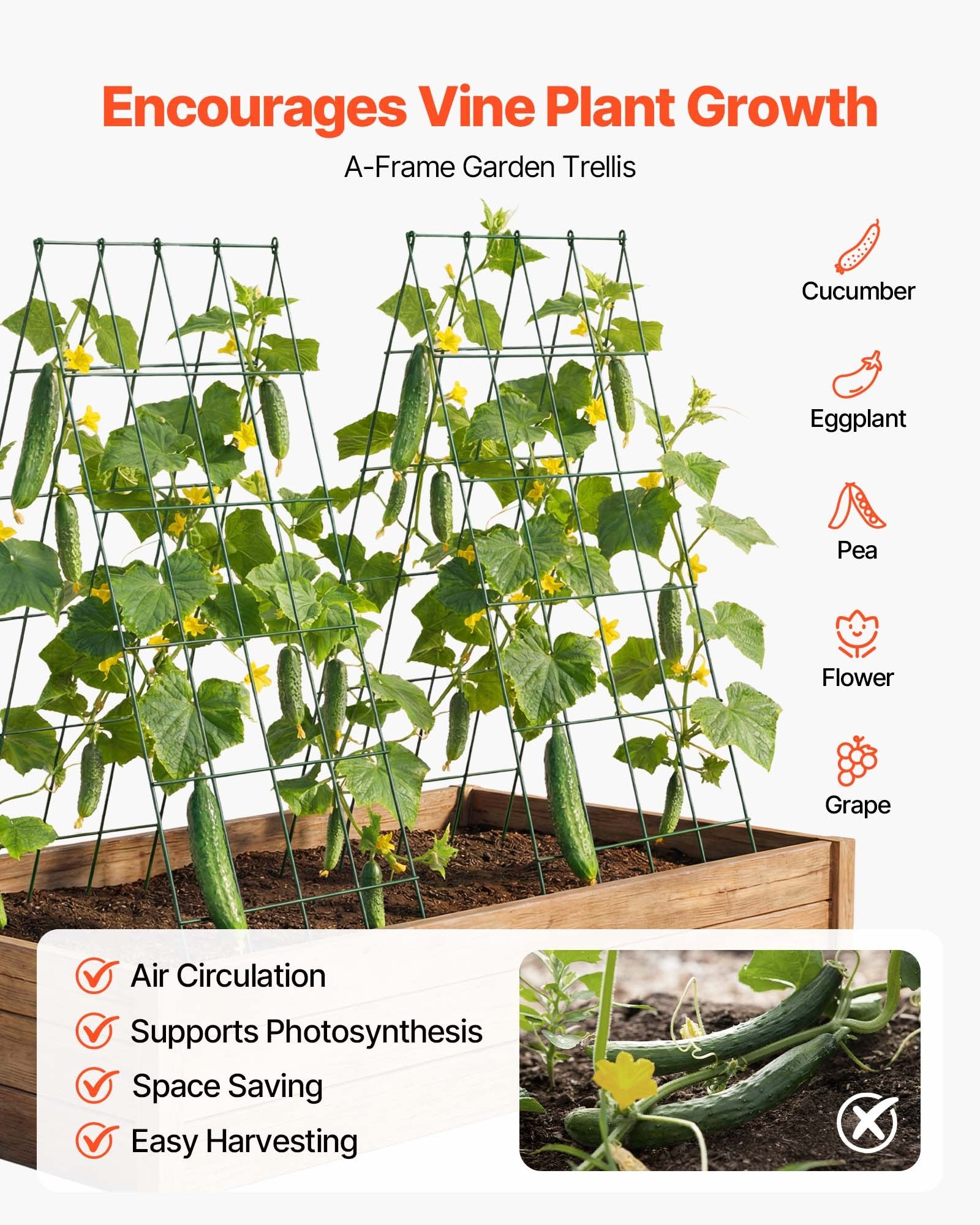 4-Pack A-Frame Cucumber Trellis for Raised Beds - Rustproof Metal Plant Support for Vines, Peas, Beans, Zucchini, Tomatoes, Flowers - Easy Assembly & Storage (38.98 x 15.75 in)