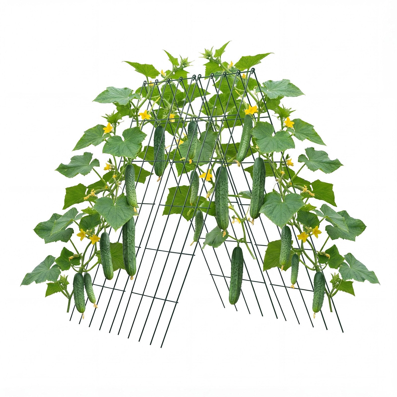 4-Pack A-Frame Cucumber Trellis for Raised Beds - Rustproof Metal Plant Support for Vines, Peas, Beans, Zucchini, Tomatoes, Flowers - Easy Assembly & Storage (38.98 x 15.75 in)