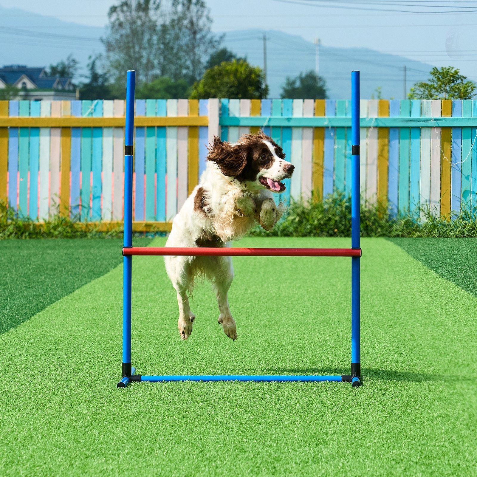 5-Piece Dog Agility Training Kit: Adjustable Hurdles, Weave Poles, Tunnel & More - Puppy Obstacle Course with Whistle & Storage Bags