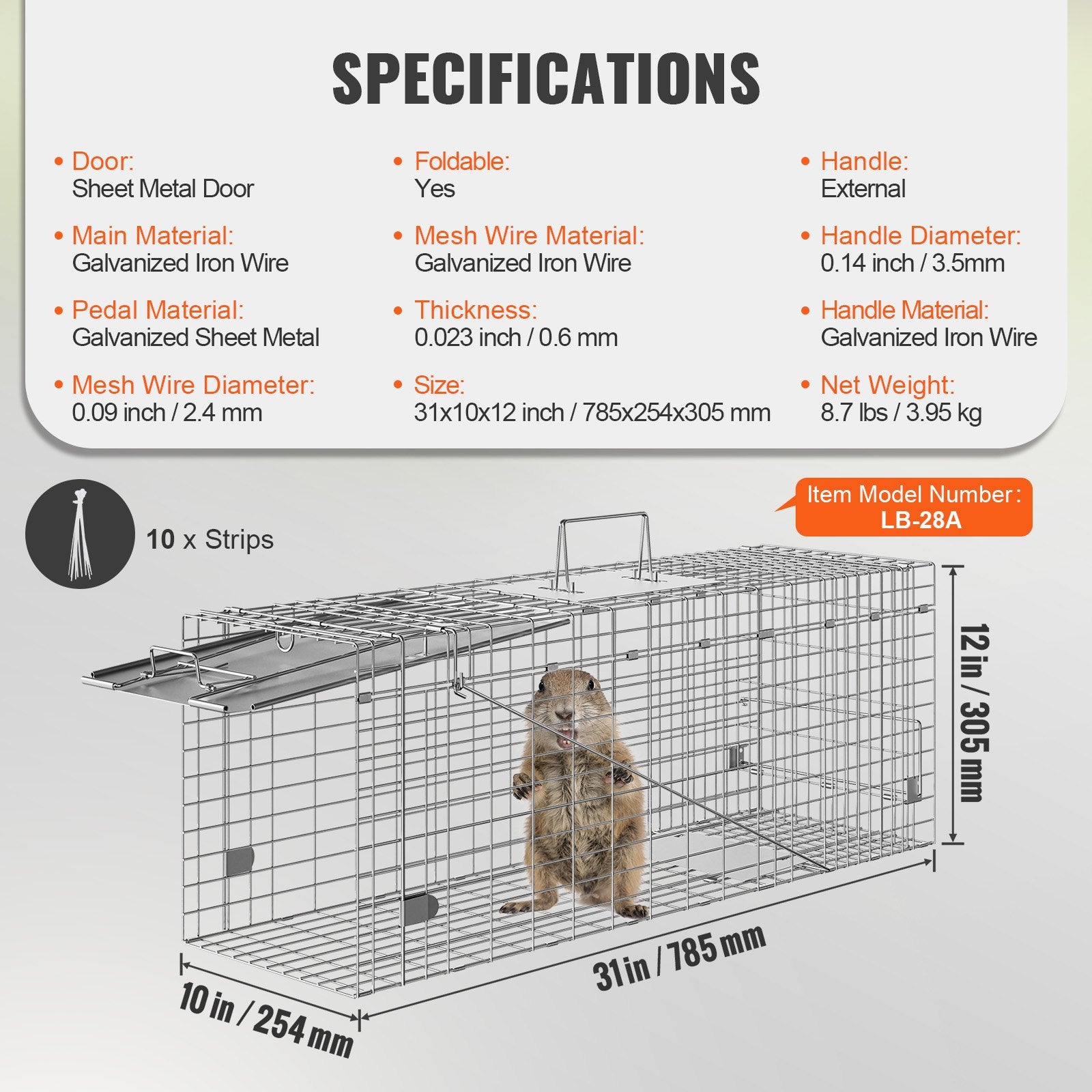 Humane Folding Live Animal Cage Trap 31"x10"x12" for Cats, Rabbits, Squirrels, Raccoons, Groundhogs - Durable Galvanized Iron Design