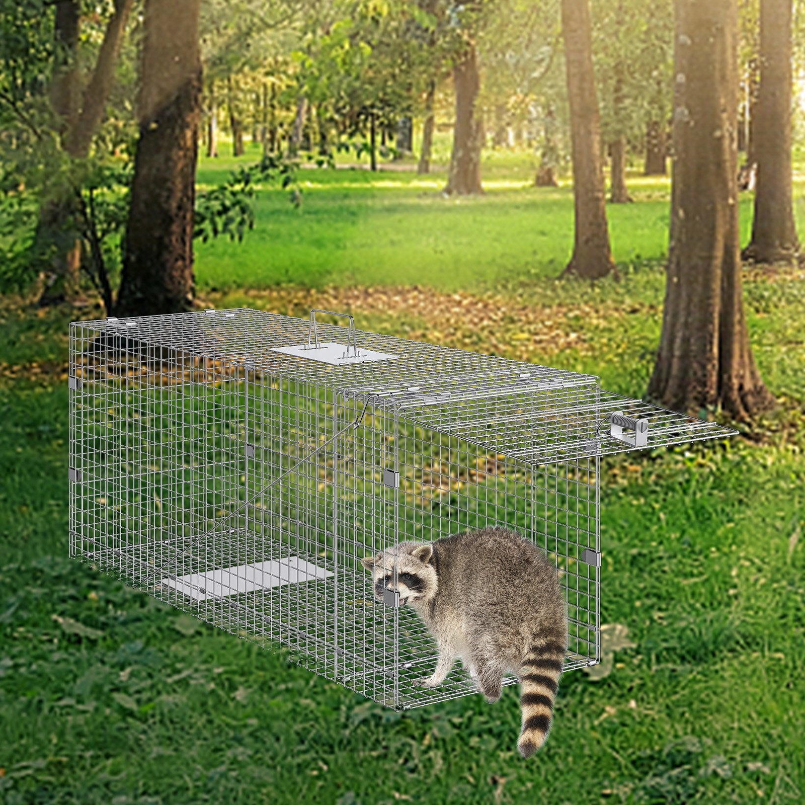 Foldable Live Animal Cage Trap, 50" x 20" x 26" for Humane Capture of Stray Dogs, Armadillos, Raccoons, Foxes - Durable Galvanized Iron Construction with Sensitive Trigger System, Easy Setup, and Versatile Use for Safe Animal Control