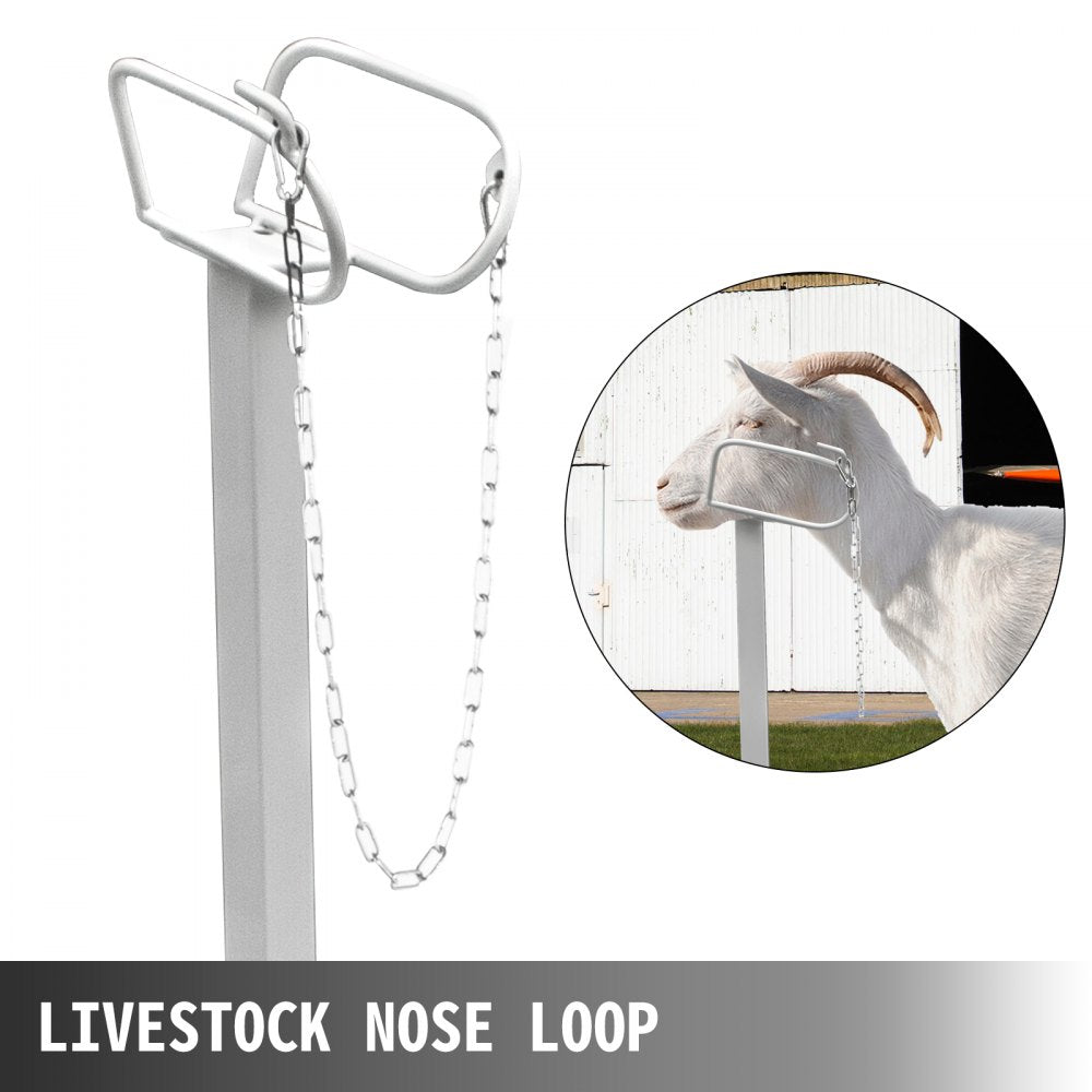 Heavy-Duty Livestock Trimming Stand with Straight Head Piece, 51x23 inches for Goats, Sheep, and More