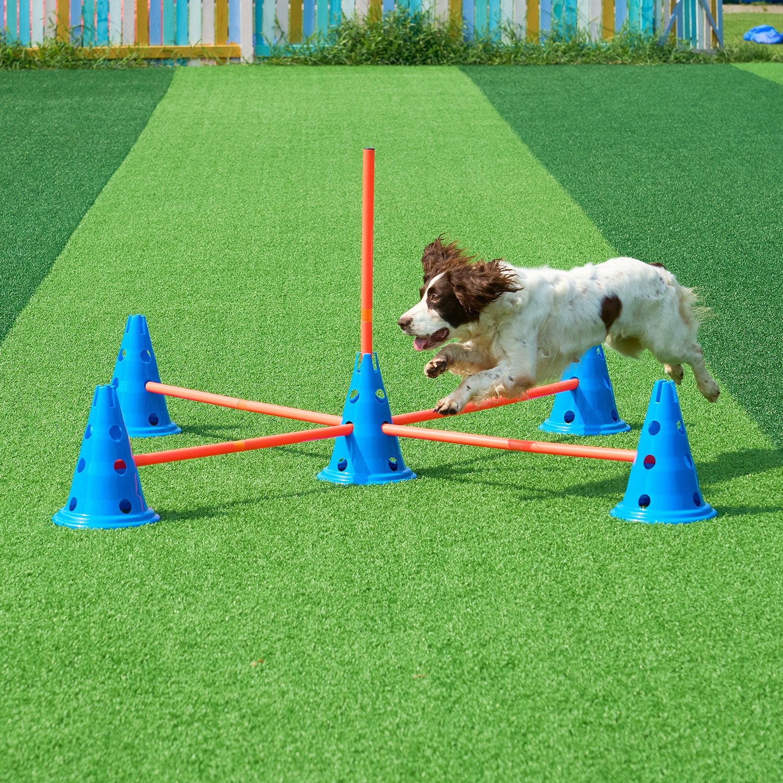 Dog Agility Training Set - 6 PCS Kit with Adjustable Hurdle Cones and Rods, Portable Puppy Obstacle Course, Includes Storage Bag, Durable PVC Material