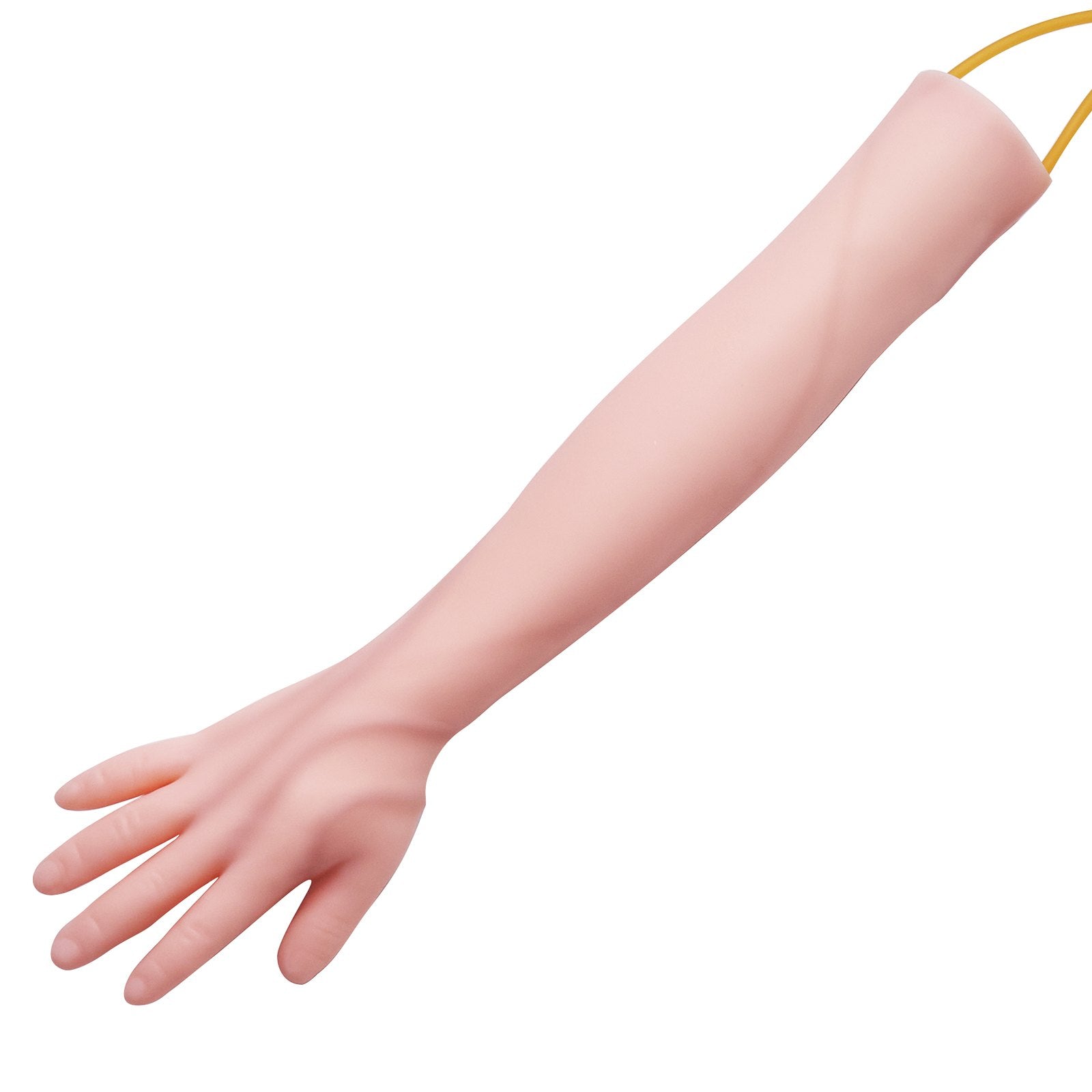 Advanced Phlebotomy & IV Training Kit with Realistic Practice Arm, Portable Simulation for Students, Nurses, and Professionals