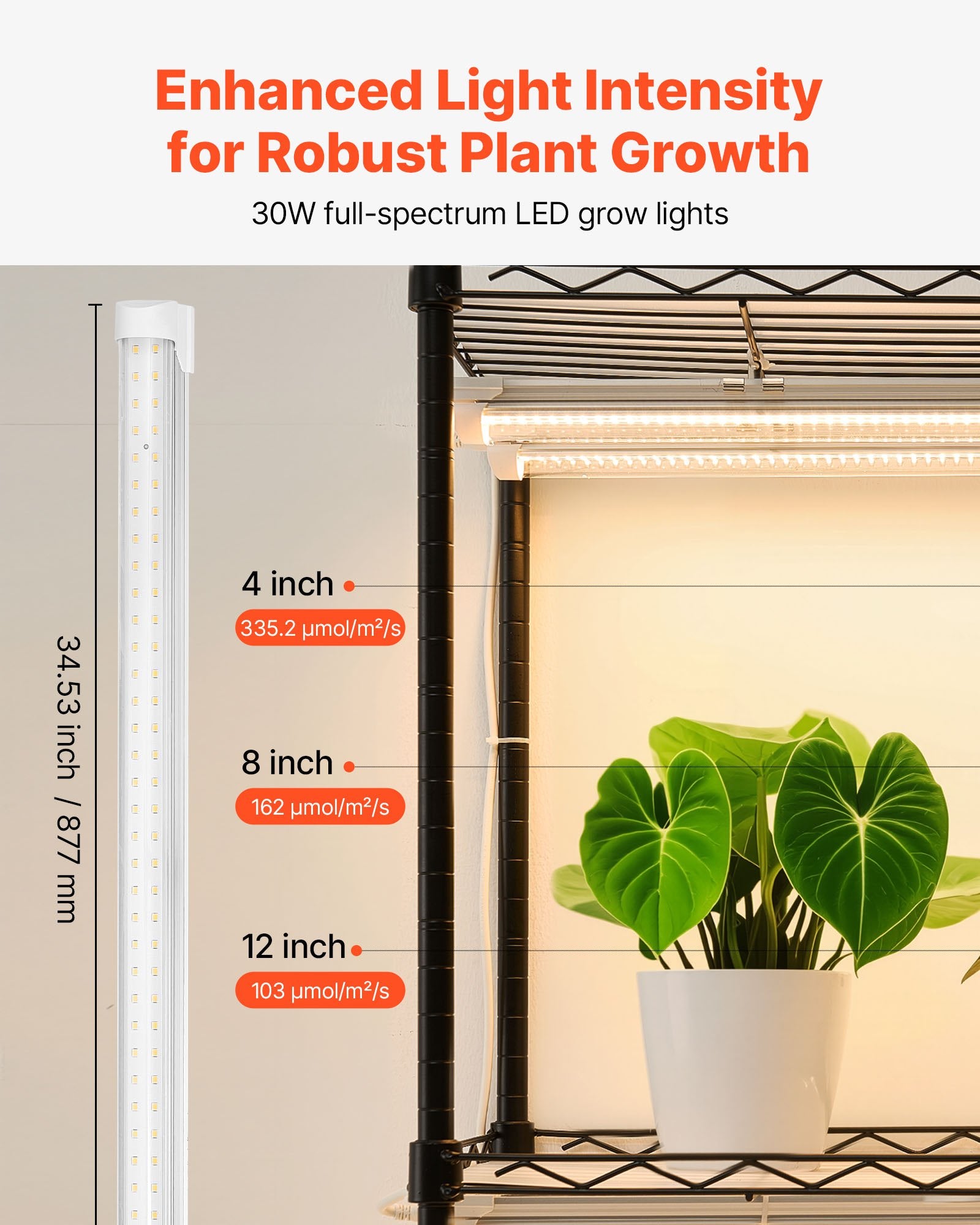 Indoor Greenhouse for Plants with Full Spectrum LED Grow Lights, 59" Tall 4-Tier Metal Stand, Timer, Hygrometer, Energy Efficient, 180W, Clear Cover
